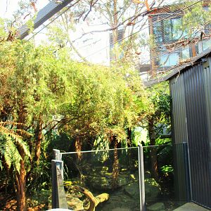 Second Tasmanian Devil Enclosure