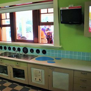 Backyard to Bush- Kitchen