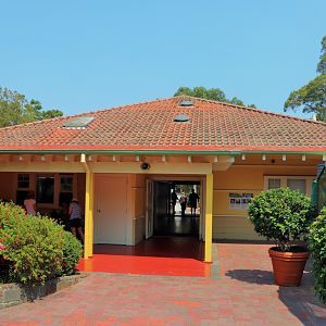 Backyard to Bush- House