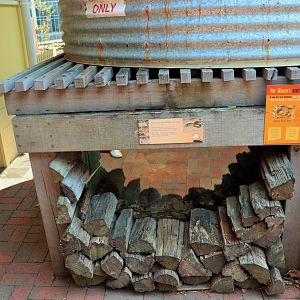 Red-bellied Black Snake Enclosure