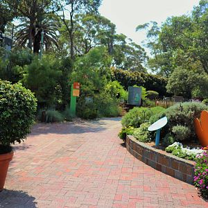 Backyard to Bush- Garden Area