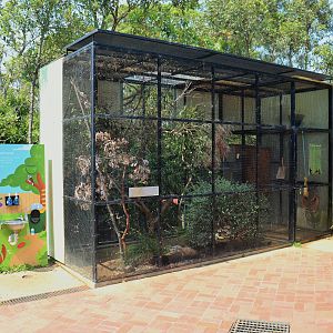 Backyard to Bush- Aviary