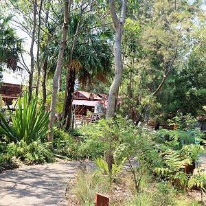 Backyard to Bush- Pathway to Farm Area