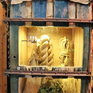 House Mouse Enclosure