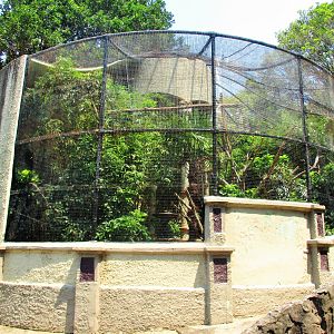Moore Park Aviary