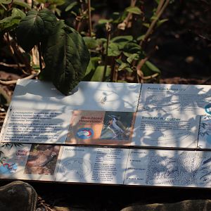 Moore Park Aviary Signage