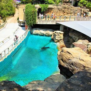Great Southern Oceans- Sea Lion Enclosure