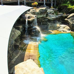 Great Southern Oceans- Seal Enclosure