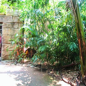 Palm Aviary