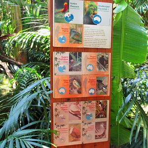 Palm Aviary Signage