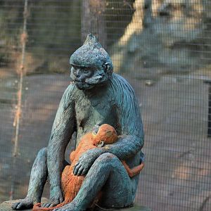 Francois' Langur Statue