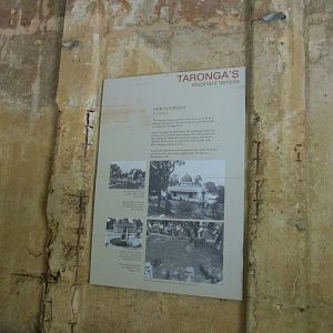 Elephant Temple Sign