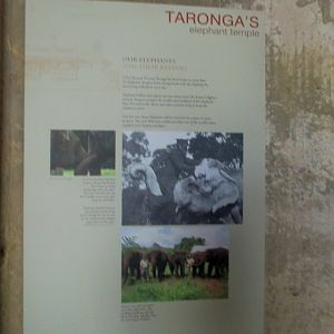 Elephant Temple Sign