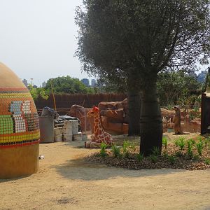 Future Meerkat Enclosure- African Savannah (Opening 2020)