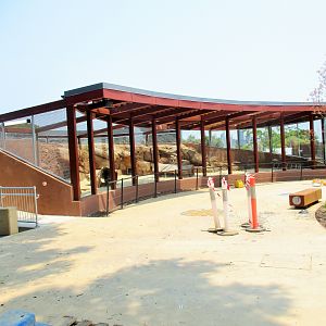 Future Fennec Fox Enclosure- African Savannah (Opening 2020)