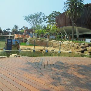 Future Waterhole Exhibit - African Savannah (Opening 2020)