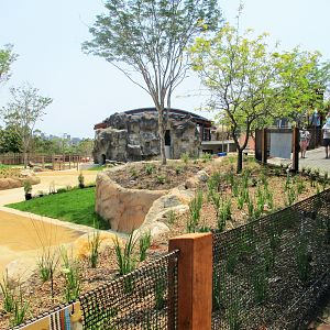 Future Waterhole Exhibit - African Savannah (Opening 2020)