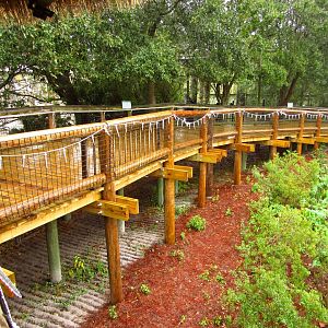 Savanna Blooms Updated Boardwalk