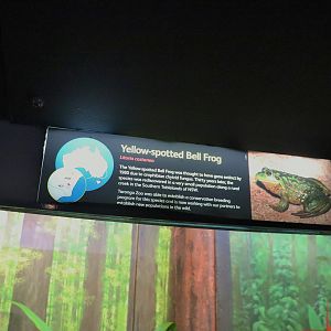 Yellow-spotted Bell Frog Sign