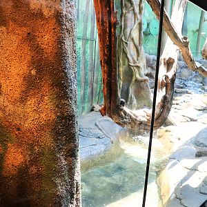 Reticulated Python Enclosure