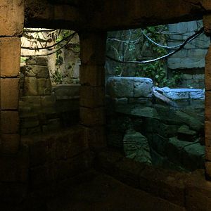 Old Anaconda Exhibit