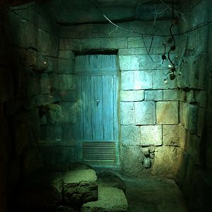 Seba's Short-Tailed Bat Exhibit