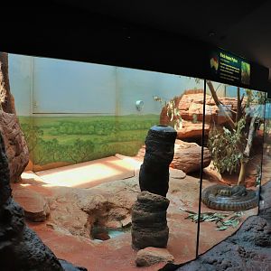 Black-headed Python Enclosure