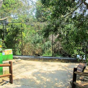 Australian Finch Aviary