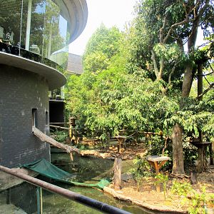 Squirrel Monkey Enclosure