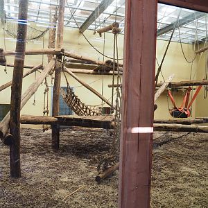 Indoor housing second Western chimpanzee group,  2019-09-15