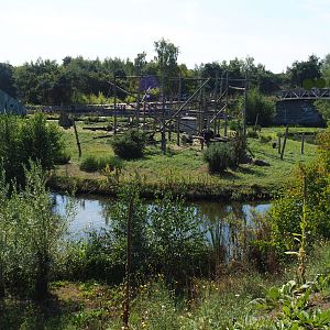 Second Western chimpanzee island,  2019-09-15