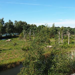 Second Western chimpanzee island,  2019-09-15