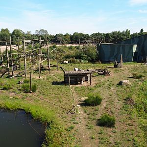 Second Western chimpanzee island, 2019-09-15