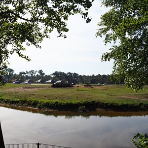 Rothschild's giraffe, black sable antelope and Grévy's zebra plains, 2019-09-15