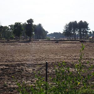 Giraffe plains and Cape buffalo paddock, 2019-09-15
