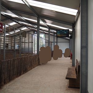 Viewing area in the Rothschild's giraffe stable, 2019-09-15