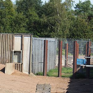 Hamadryas baboon holding cages, 2019-09-15