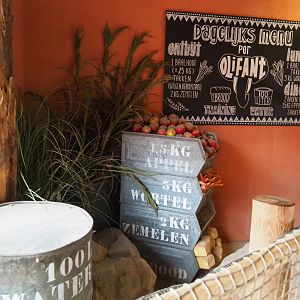 'The daily menu for an elephant' educational display, 2019-09-15