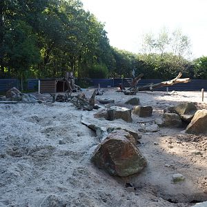 Banded mongoose and Red river hog exhibit, 2019-09-15