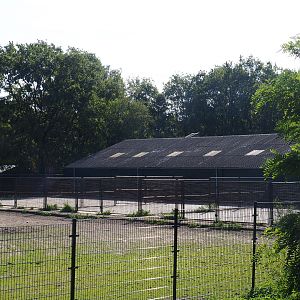 Stable building and separation pens for the savanna hoofdstock paddock, 2019-09-15