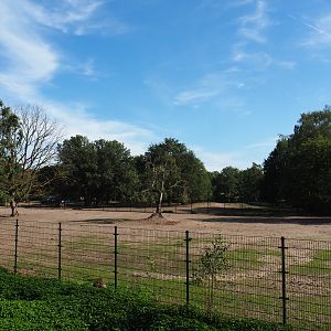 Large separation paddock for the animals of the savanna hoofstock paddock, 2019-09-15