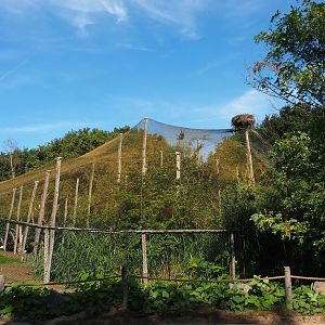 African wetland walk-into aviary, 2019-09-15