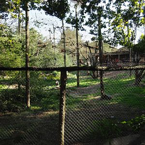 African wetland walk-into aviary, 2019-09-15