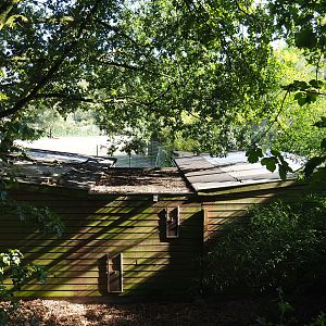 African wetland aviary bird house, 2019-09-15