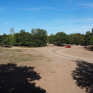 Savanna hoofstock paddock with car and bus safari, 2019-09-15