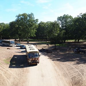 Savanna hoofstock paddock with car and bus safari, 2019-09-15