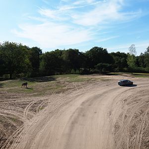 Savanna hoofstock paddock with car and bus safari, 2019-09-15