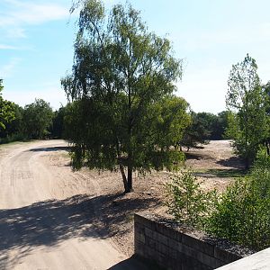 Savanna hoofstock paddock with car and bus safari, 2019-09-15