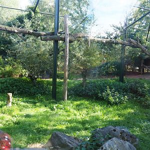 North Persian leopard exhibit, 2019-09-15