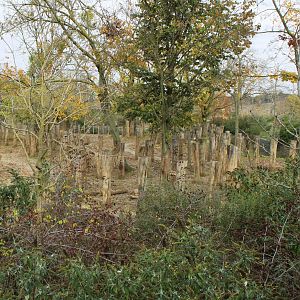 Zebra - Lechwe - Rhino enclosure